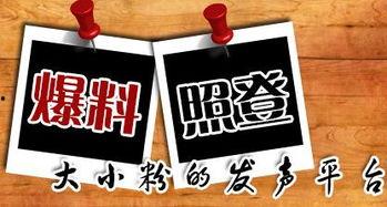 闲云最新爆料新闻,娱乐圈最新爆料事件深度解析